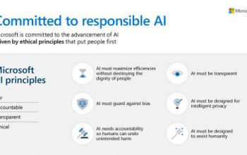 Analytics and AI Microsoft Principles